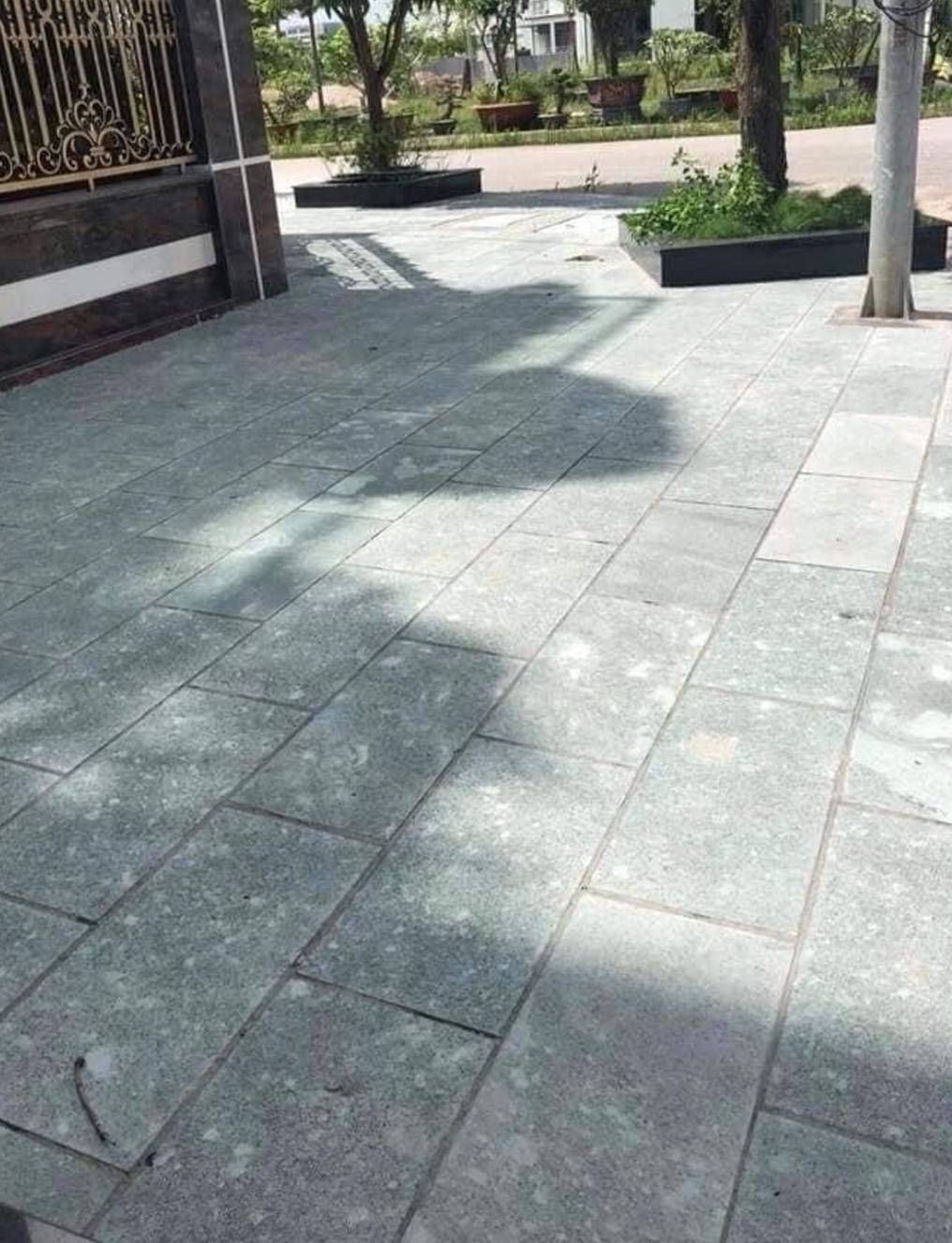đá lát lối đi sân vườn xanh rêu