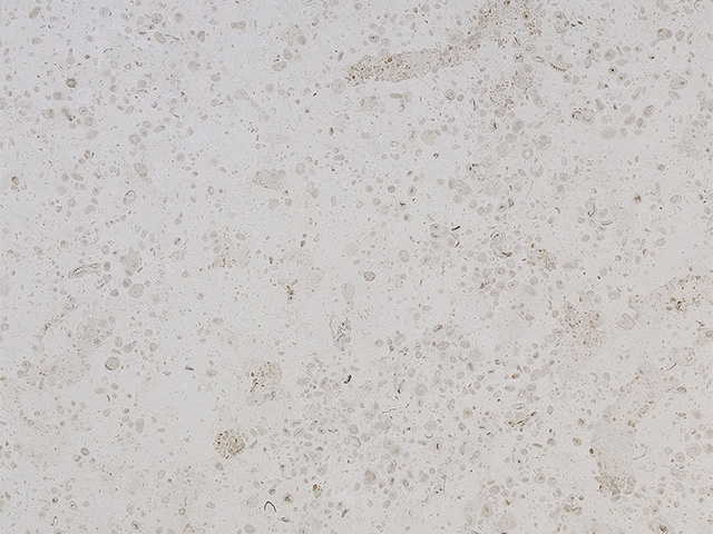 Đá Limstone Beige Perolla