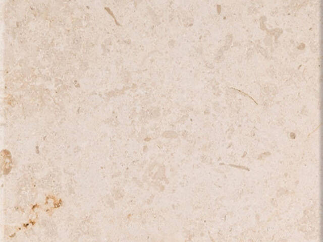 Đá Limstone Crema Fossill