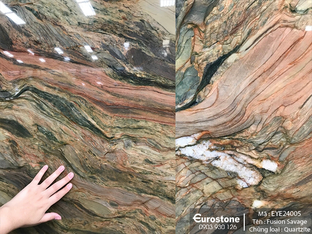 EYE24005 Fusion Savage 6