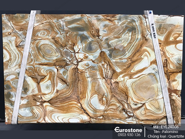 eye24008_palomino_2-1