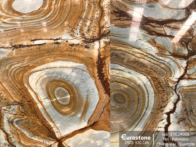 eye24008_palomino_3-1 eye24008 Palomino 3