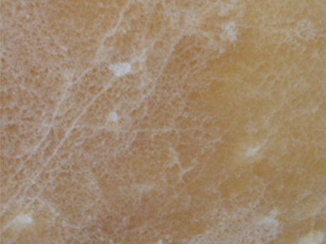 Đá Onice Capuccino